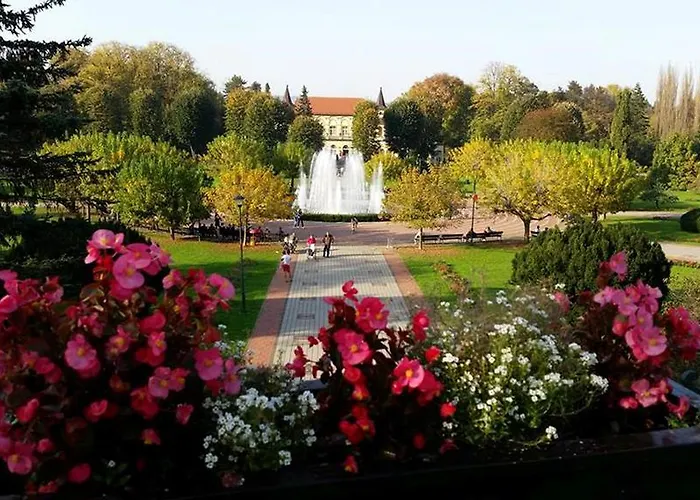 شقة فندقية Royal